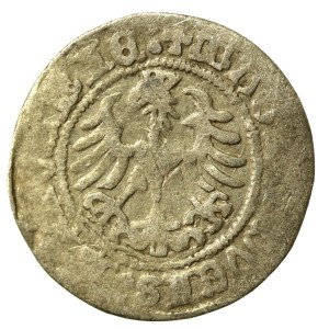 Sigismund I the Old, Half-penny 1518, Vilnius - Inverted D (539)