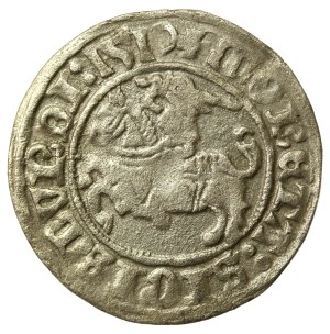 Sigismund I. der Alte, Halbpfennig 1510, Wilna (540)