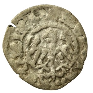 Kazimierz IV Jagiellończyk, Půlpenny, Krakov (541)