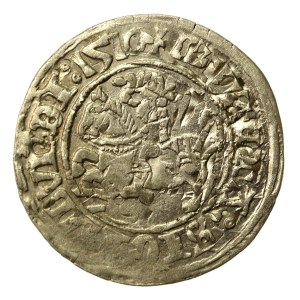 Sigismund I the Old, Half-penny 1510, Vilnius. An interesting destruct (548)