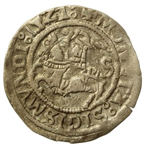 Sigismund I. der Alte, Halber Pfennig 1521, Vilnius (549)