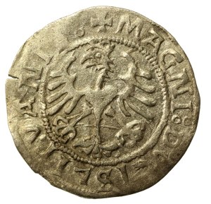 Sigismund I. der Alte, Halber Pfennig 1521, Vilnius (549)