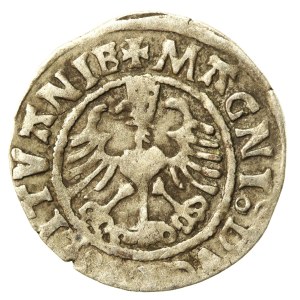 Sigismond Ier le Vieux, demi-penny 1525, poinçon SIGISM(S)UNDI. Curieux (566)
