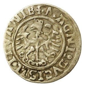 Sigismund I the Old, Half-penny 1525, Vilnius. Partially one-sided minting (579)