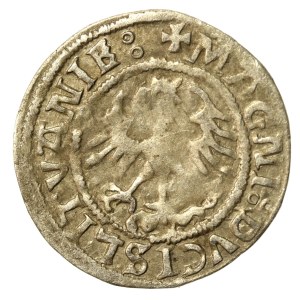 Sigismund I the Old, Half-penny 1521, Vilnius. Lack of interlude on rev. Obverse-5 dots (583)