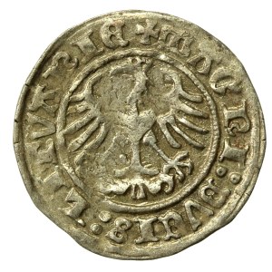 Sigismund I the Old, Half-penny 1511, Vilnius (606)