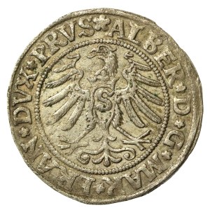 Ducal Prussia, Albrecht Hohenzollern, 1531 penny, Königsberg (729)