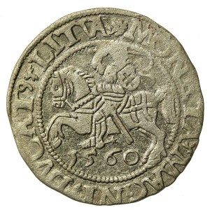 Sigismund II Augustus, Half-penny 1560, Vilnius - DVX L/LITV - 2 rosettes - very rare (731)