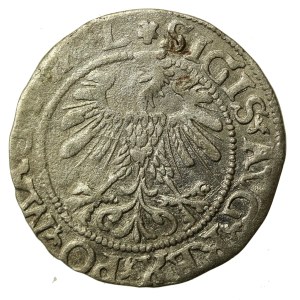 Sigismund II Augustus, Half-penny 1560, Vilnius - DVX L/LITV - 2 rosettes - very rare (731)
