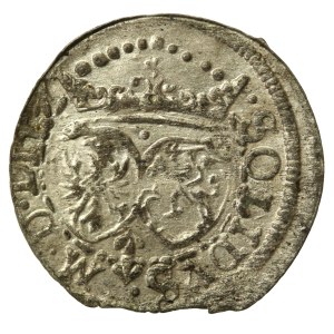 Sigismund III Vasa, 1617 Shellac, Vilnius (736)