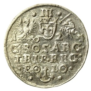 Sigismond III Vasa, Trojak 1624, Cracovie (751)