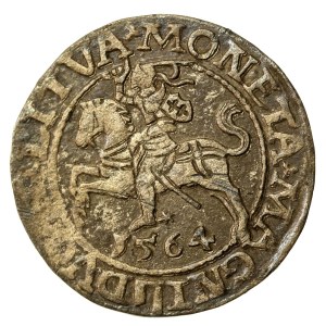 Sigismund II Augustus, Half-penny 1564, Vilnius - L/LITVA (858)