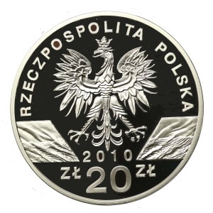 III RP, 20 PLN 2010, Lesser Horseshoe Bat (945)