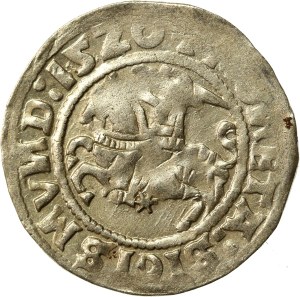 Sigismund I. der Alte, Halber Pfennig 1520, Vilnius, SIGISMUND. Selten (492)