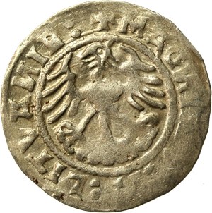 Sigismund I. der Alte, Halber Pfennig 1520, Vilnius, SIGISMUND. Selten (492)