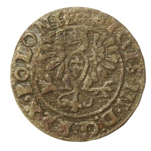 Sigismund III Vasa 1587-1632, Shelrog 1625, Bydgoszcz - Eagle (496)