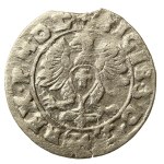 Sigismund III Vasa, Half-track Bydgoszcz 1614 - Eagle (695)