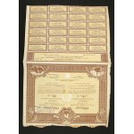 Warsaw, 4.5% loan of the City of Warsaw 1931, bond 66.50 zl. Set of 3 pcs. (1355)