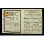 Warszawska Kinematograficzna Sp. Akc., PLN 100 (1348)