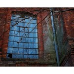 Witek Kurowski, Window