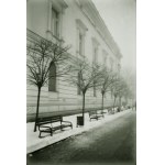 Natalia Lewandowska, Winterwise