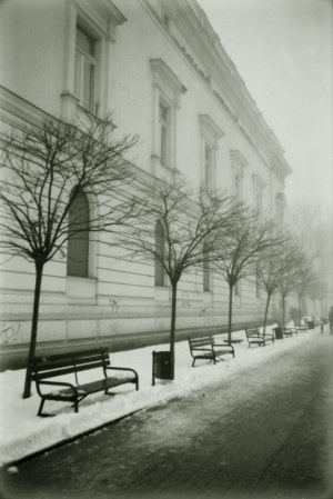 Natalia Lewandowska, Winterwise