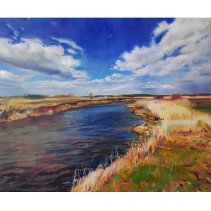 Małgorzata Zembko, Narew, olio su tela