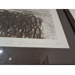 Magdalena Abakanowicz,(1930 Falenty pod Warszawą - 2017 Warszawa), Tłum u podnóża góry (z Teki Katarsis), 1985, 13/100