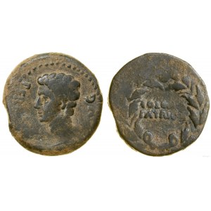 Rome provinciale, Ace, Patricia (Cordoue)