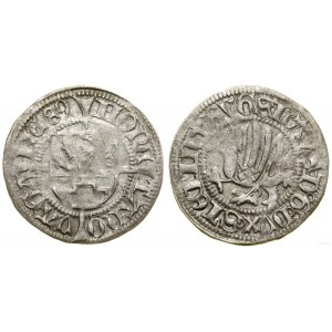 Pomorze, szeląg, 1489, Gardziec