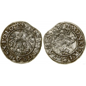Polska, szeląg, 1539, Gdańsk