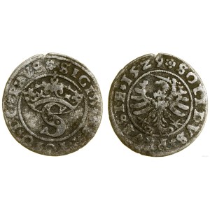 Poland, sheląg, 1529, Toruń