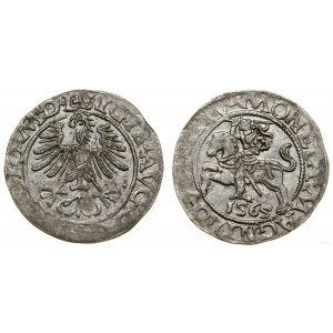Poland, half-penny, 1565, Vilnius