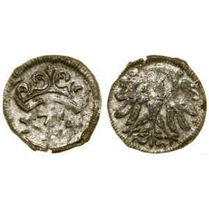 Polonia, denario, 1557, Danzica