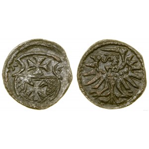 Poland, denarius, 1555, Elbląg