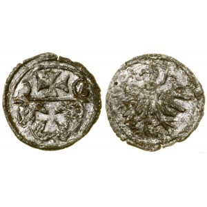 Poland, denarius, 1556, Elbląg