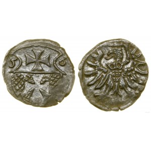 Polska, denar, 1556, Elbląg