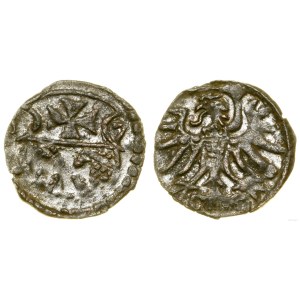 Poland, denarius, 1557, Elbląg