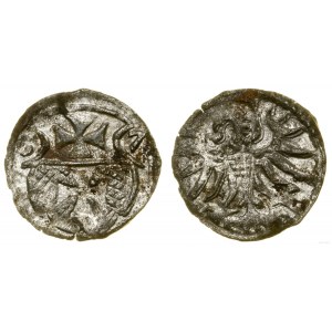 Poland, denarius, 1557, Elbląg