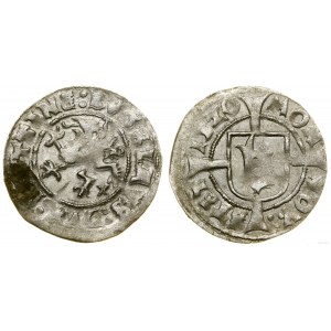 Pomerania, witten, 1520, Szczecin