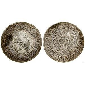 Prusy Książęce (1525-1657), grosz, 1540, Królewiec