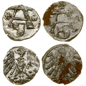 Prusy Książęce (1525-1657), lot 2 x denar, bez daty, 1558, Królewiec