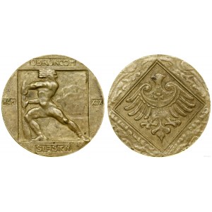 Polska, medal pamiątkowy, 1919