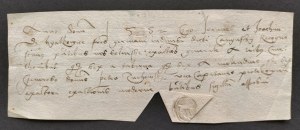 [CORONNA STORE] BIAŁKOWSCY Jan and Joachim of Białkowice h. Nowina, brothers by birth [1552].