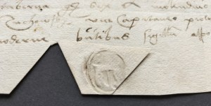 [CORONNA STORE] BIAŁKOWSCY Jan and Joachim of Białkowice h. Nowina, brothers by birth [1552].