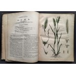 [Atlas Botaniczny] БОТАНИЧЕСКІЙ АТЛАСЪ sostawił N. Żiwotowskij. Cz.1 i 2. Sankt-Peterburg [1883-1887]