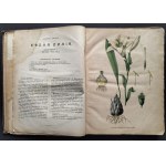 [Atlas Botaniczny] БОТАНИЧЕСКІЙ АТЛАСЪ sostawił N. Żiwotowskij. Cz.1 i 2. Sankt-Peterburg [1883-1887]