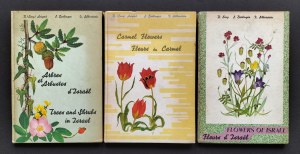[ISRAEL FLORA] Series of three albums [color reproductions of watercolors depicting plants and flowering trees] with explanatory texts in English and French. Haifa [1963].