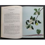 [FLORA IZRAELA] Seria trzech albumów [barwne reprodukcje akwarel przedstawiające rośliny i kwitnące drzewa] z tekstami objaśniającymi w jęz. angielskim i francuskim. Haifa [1963]