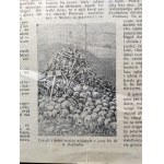 [Majdanek] WOLNOŚĆ. Gazeta frontowa dla ludności Polski. R. 1. Nr 3. 25 VIII. Poczta polowa 48251-A [1944]